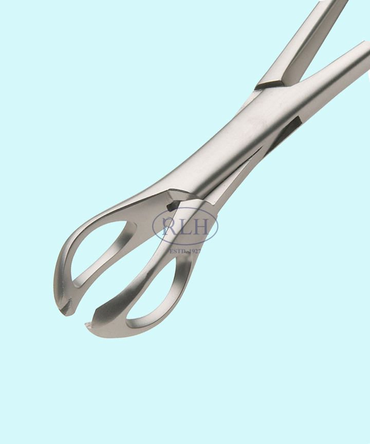 Lanes Tissue Forceps Rl Hansraj And Co Surgicals 